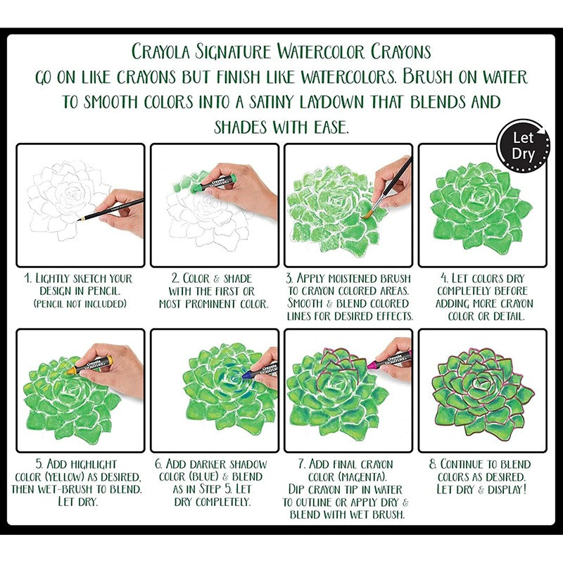 Crayola Signature Premium Watercolor Crayon Sticks & Paintbrush 12 Count