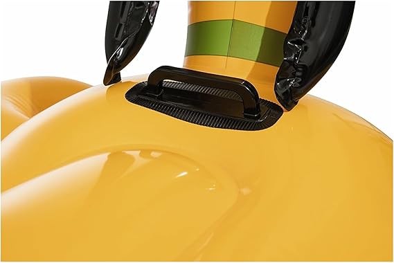 46" x 42"/1.17m x 1.07m Playful Pluto Ride