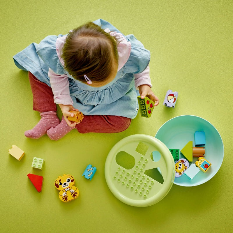 LEGO DUPLO Shape Sorter: Puppy House – 17 Pieces