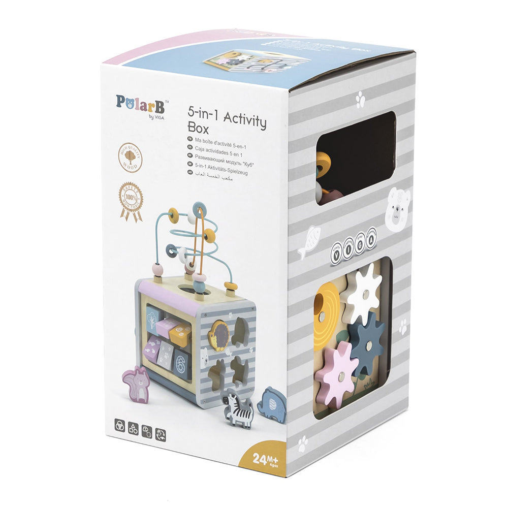 VIGA - Polar B 5 In 1 Activity Box