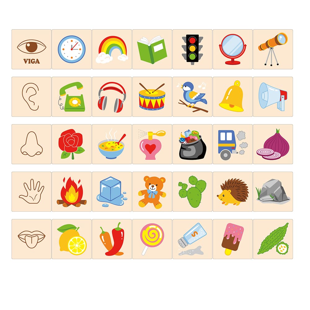 VIGA - Learning Senses Puzzle Set