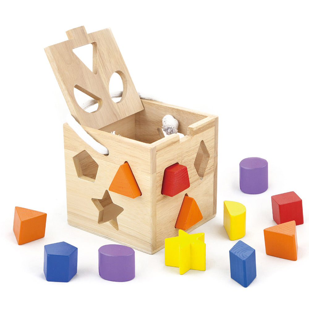 VIGA - Shape Sorting Cubes