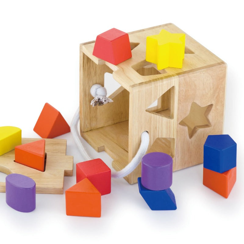 VIGA - Shape Sorting Cubes