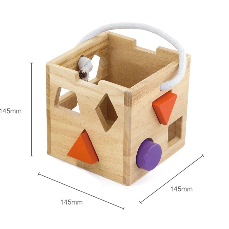VIGA - Shape Sorting Cubes