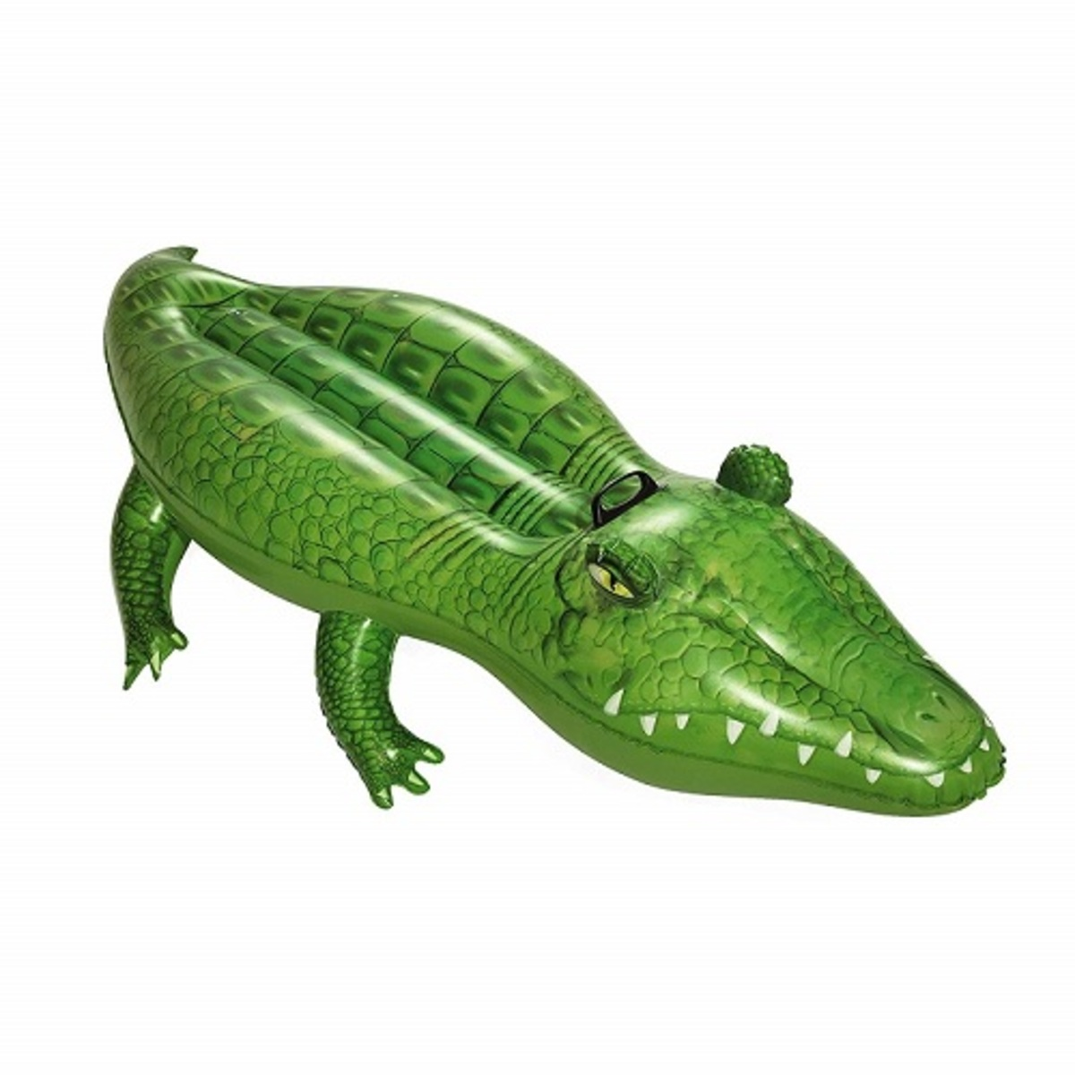 66"x31" Crocodile Rider